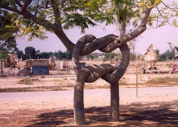 Tree knot.