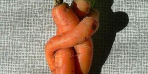 Carrot love.