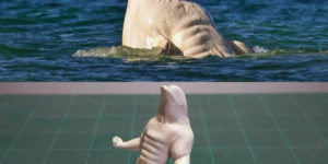 Baby Beluga in the deep blue see got stacked.