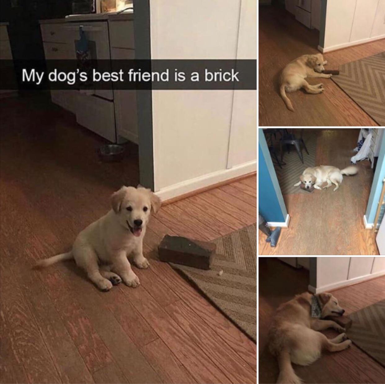 Brick is fren. 