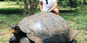 Just a couple of beautiful tortoises’.