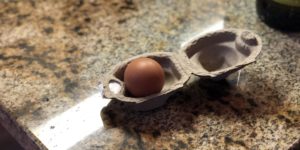 A single egg carton.