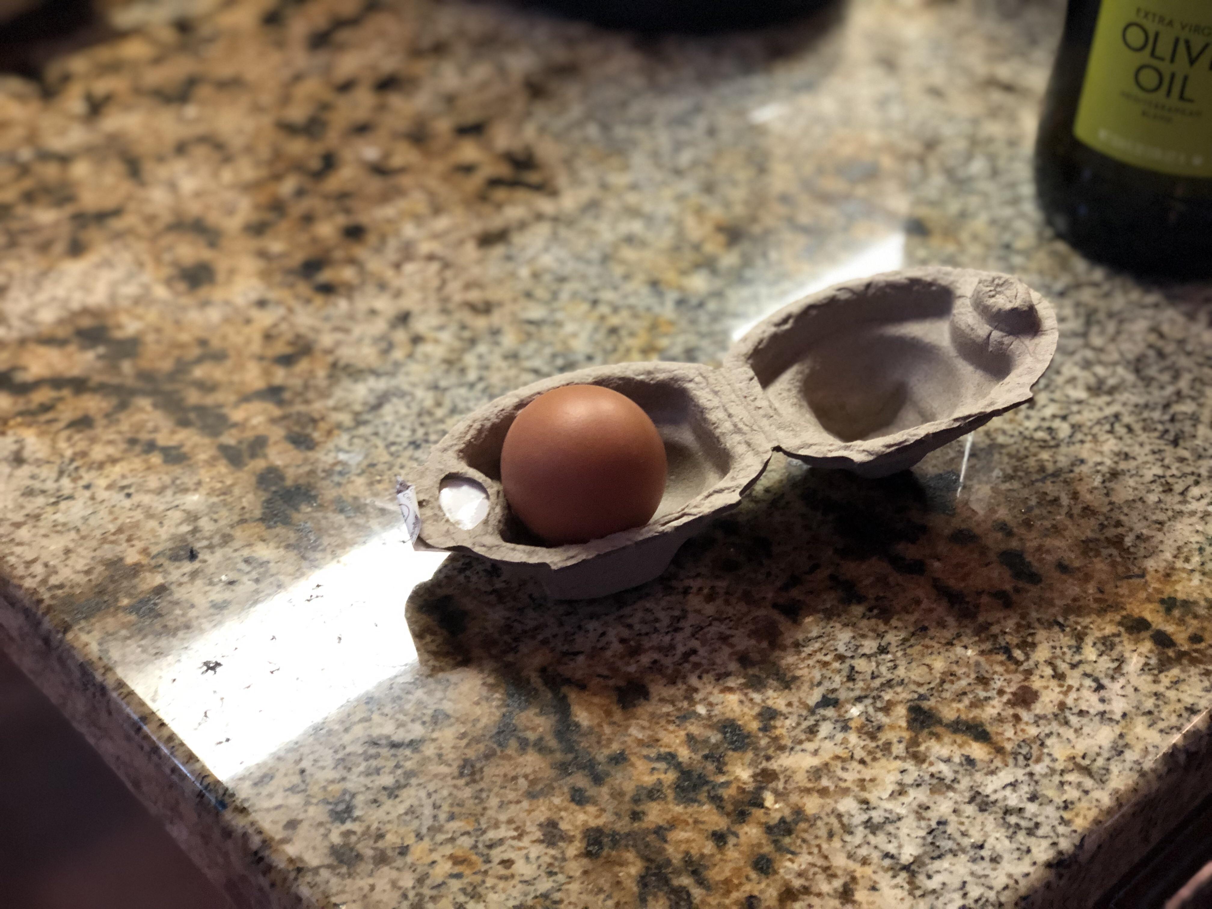 A single egg carton.