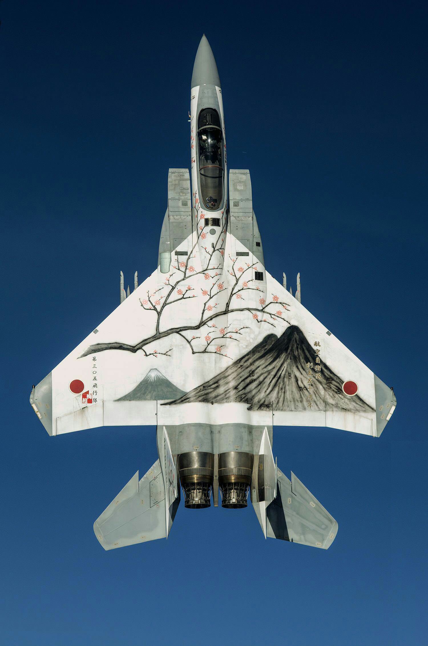 The Japanese Air Force would like to formally apologize for their paint jobs.