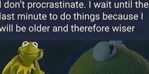 Life hacking with Kermie.