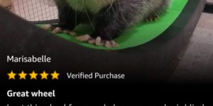 Opossum tested, Amazon approved…