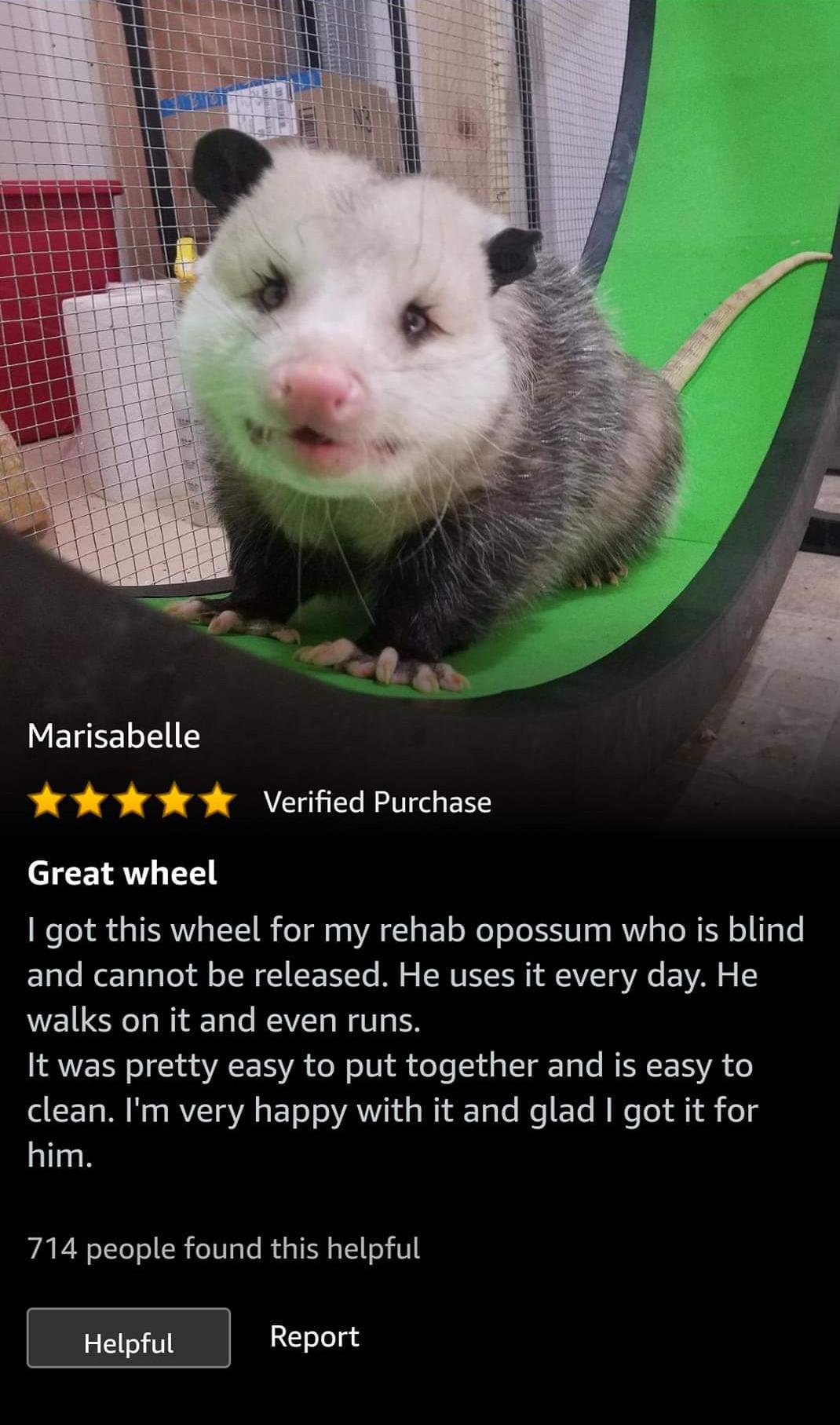 Opossum tested, Amazon approved...