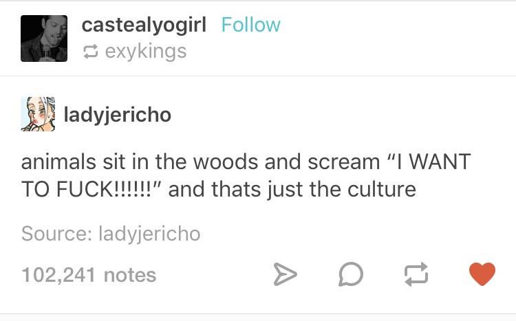 Respect the culture