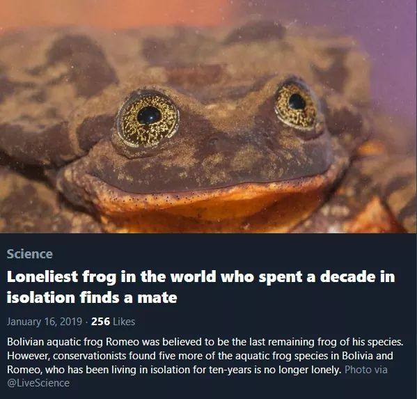 Froggo can get it, finally.