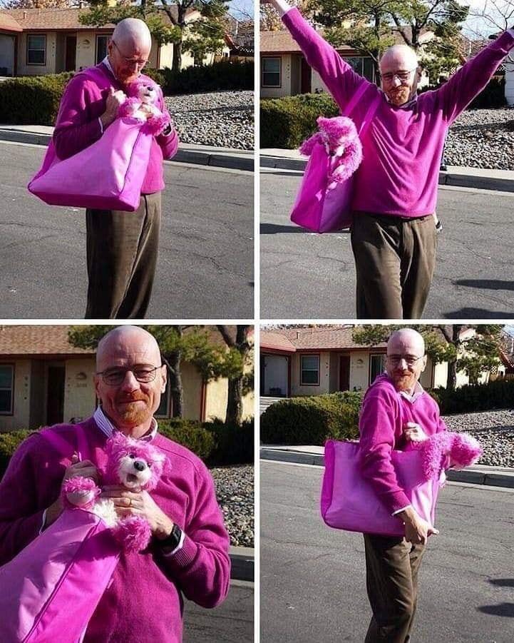 Walter Pinkman