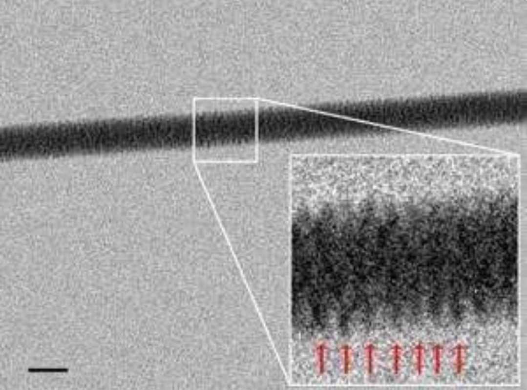 The closest we can see DNA to date... ENHANCE!