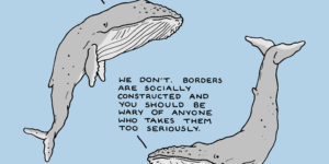 Whale wisdom