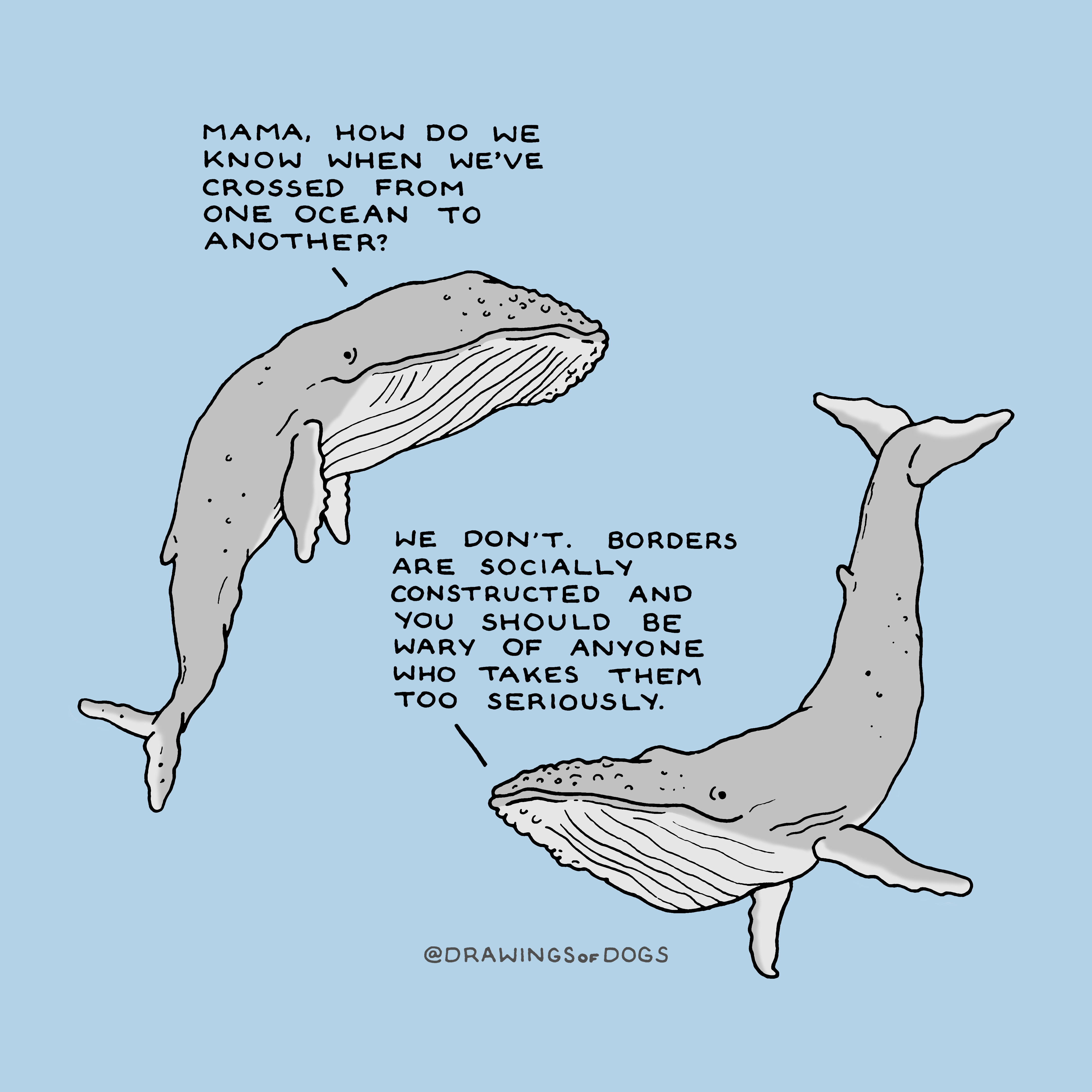 Whale wisdom