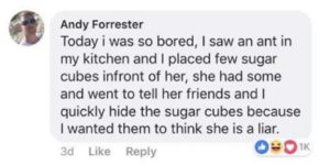 Some people just want to watch the ant world burn.