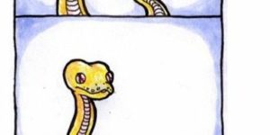 Snek is not smrt.