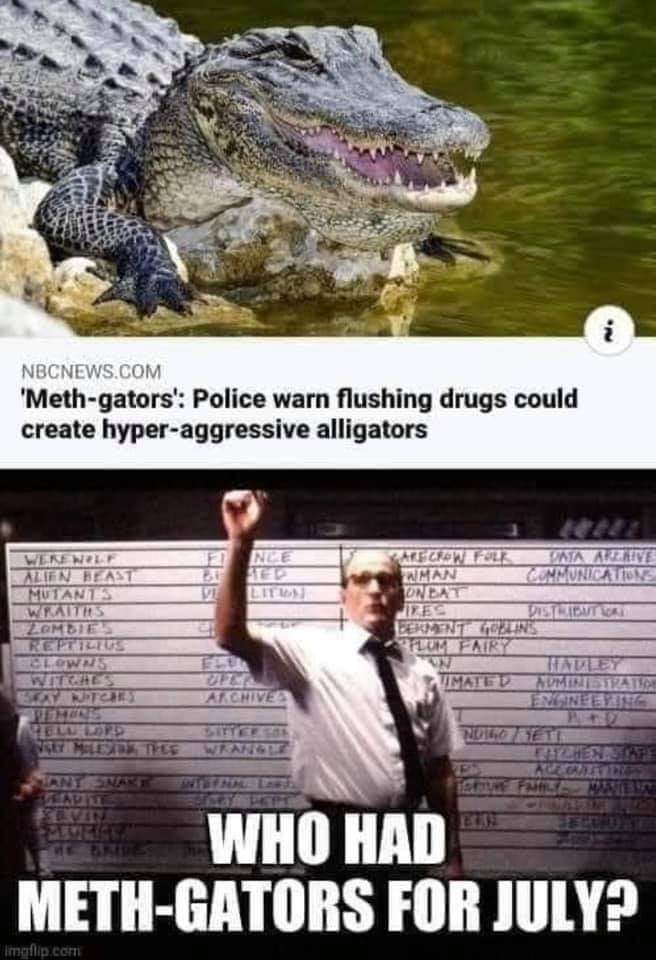 We are force feeding the gators meth, people. 