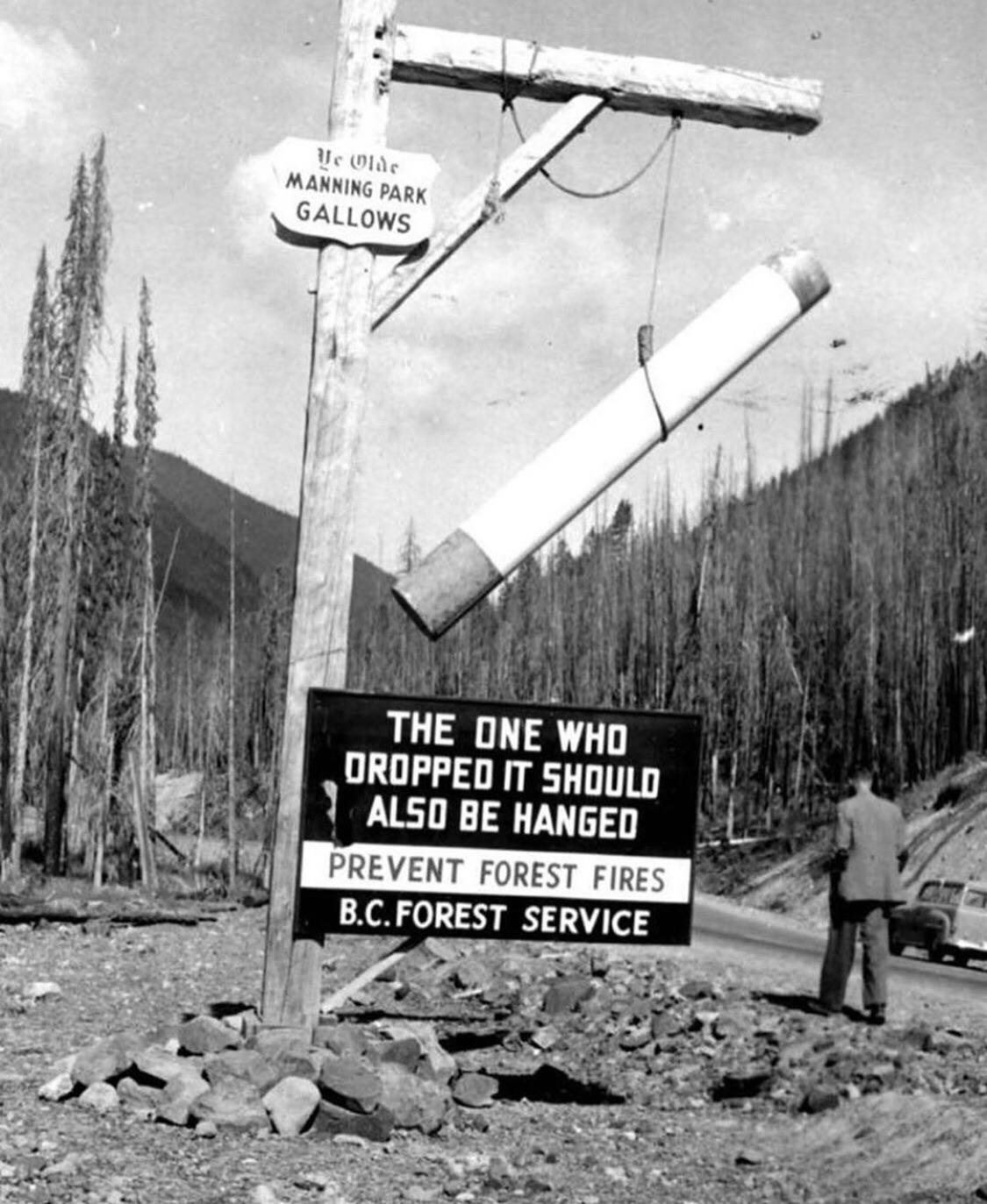 Canadian Forestry service doesn't play, British Columbia, circa 1950.