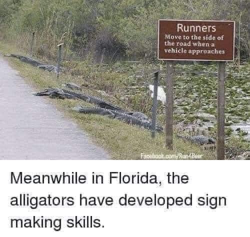 Never trust the greater gator.