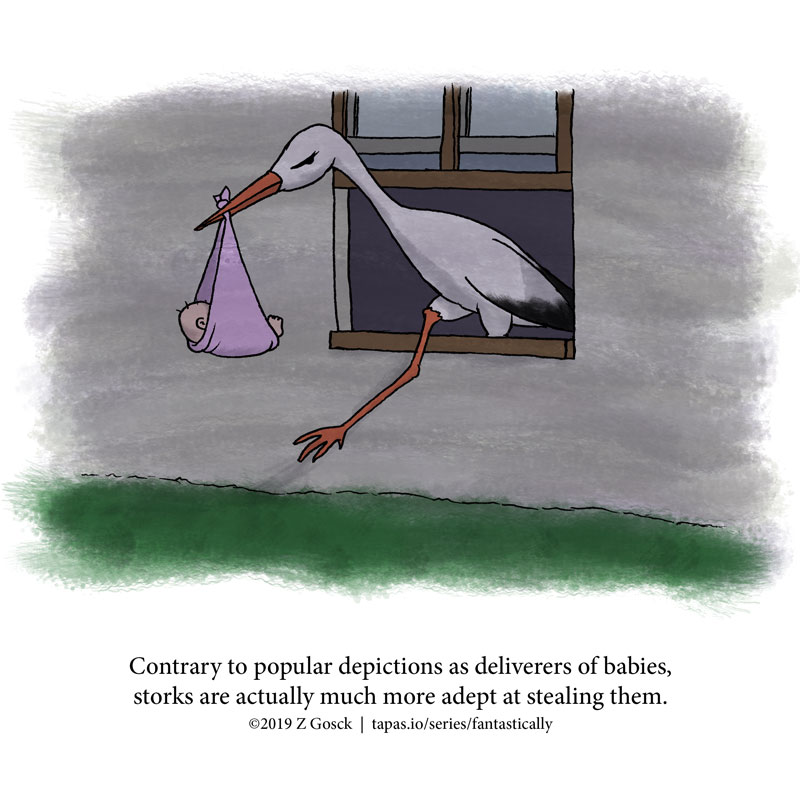 Fact About Storks