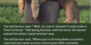 Make post tortoises great again.