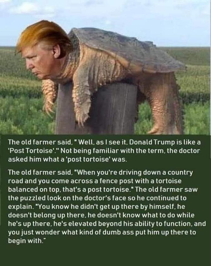 Make post tortoises great again.