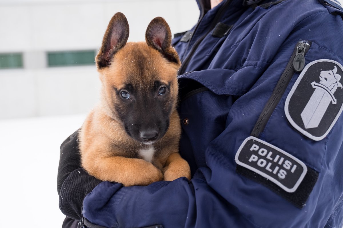 Finnish police forces just got a new officer.