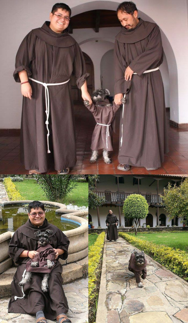 Stray pup adopted by monks in Bolivia.