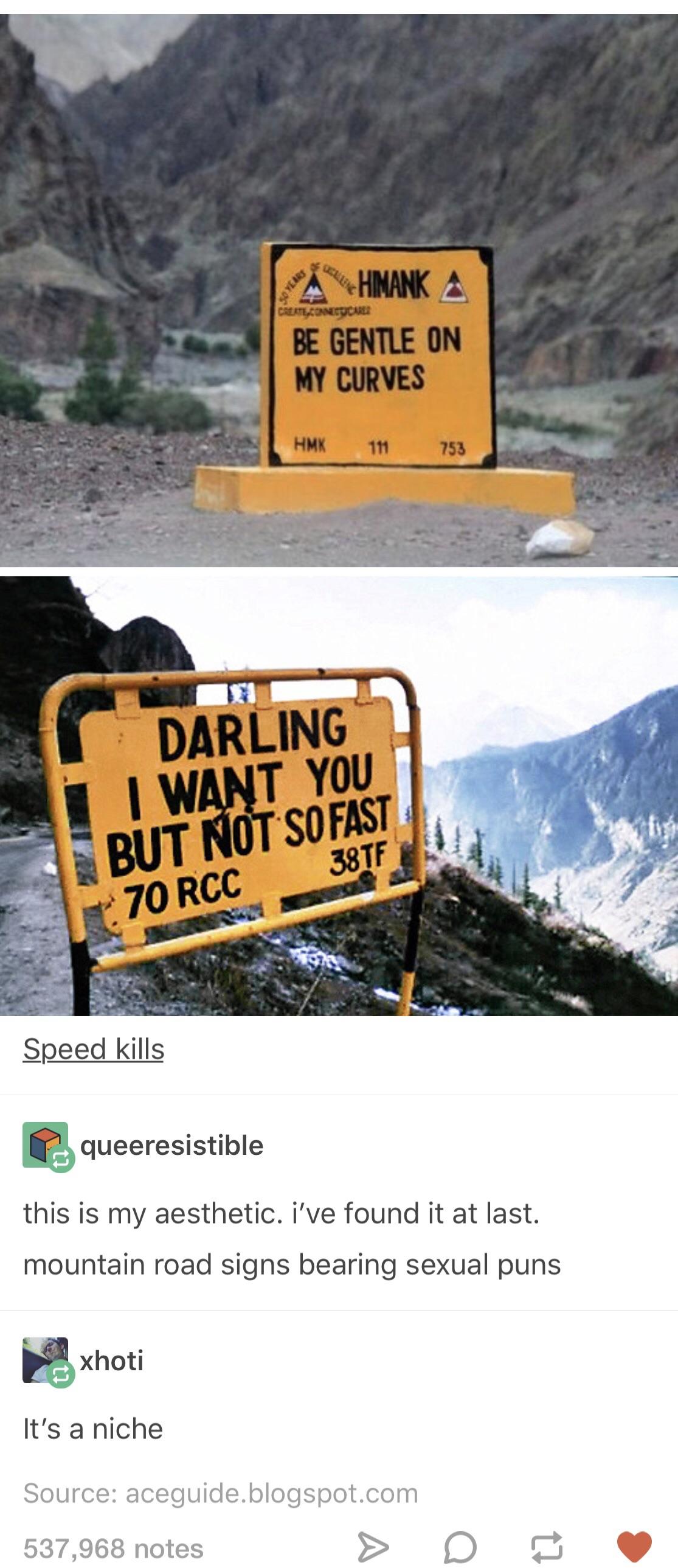 Road sign innuendo