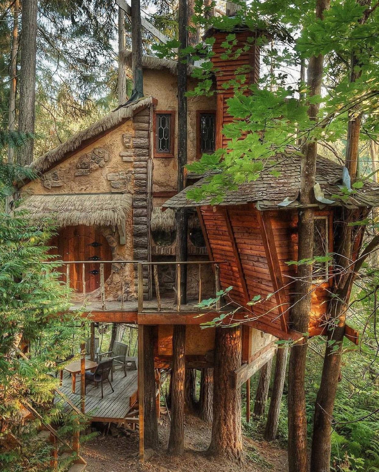 Treehouse goals