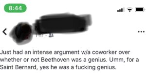 Beethoven was a genius.