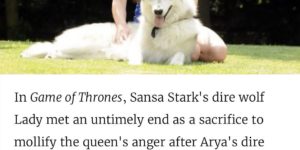 The Queen from the north and her adopted Dire wolf.