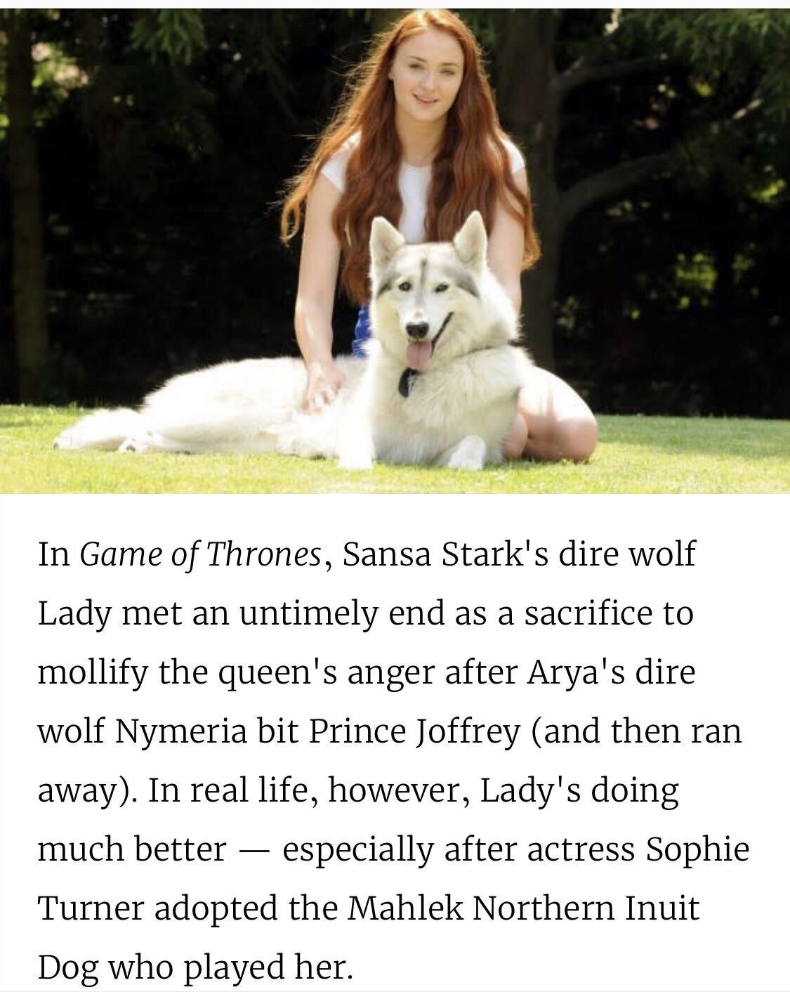 The Queen from the north and her adopted Dire wolf. 