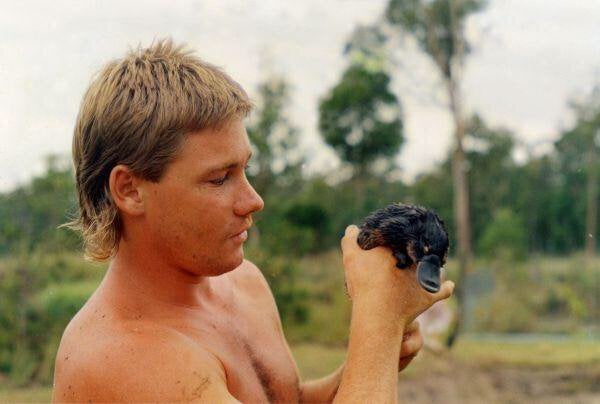 Steve Irwin examining one of Gods' whoopsies, circa 1985. 