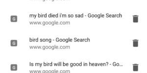 My little brother’s bird died this morning and I noticed this in the search history :/