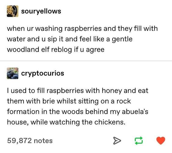 Raspberries, a lifestyle. 