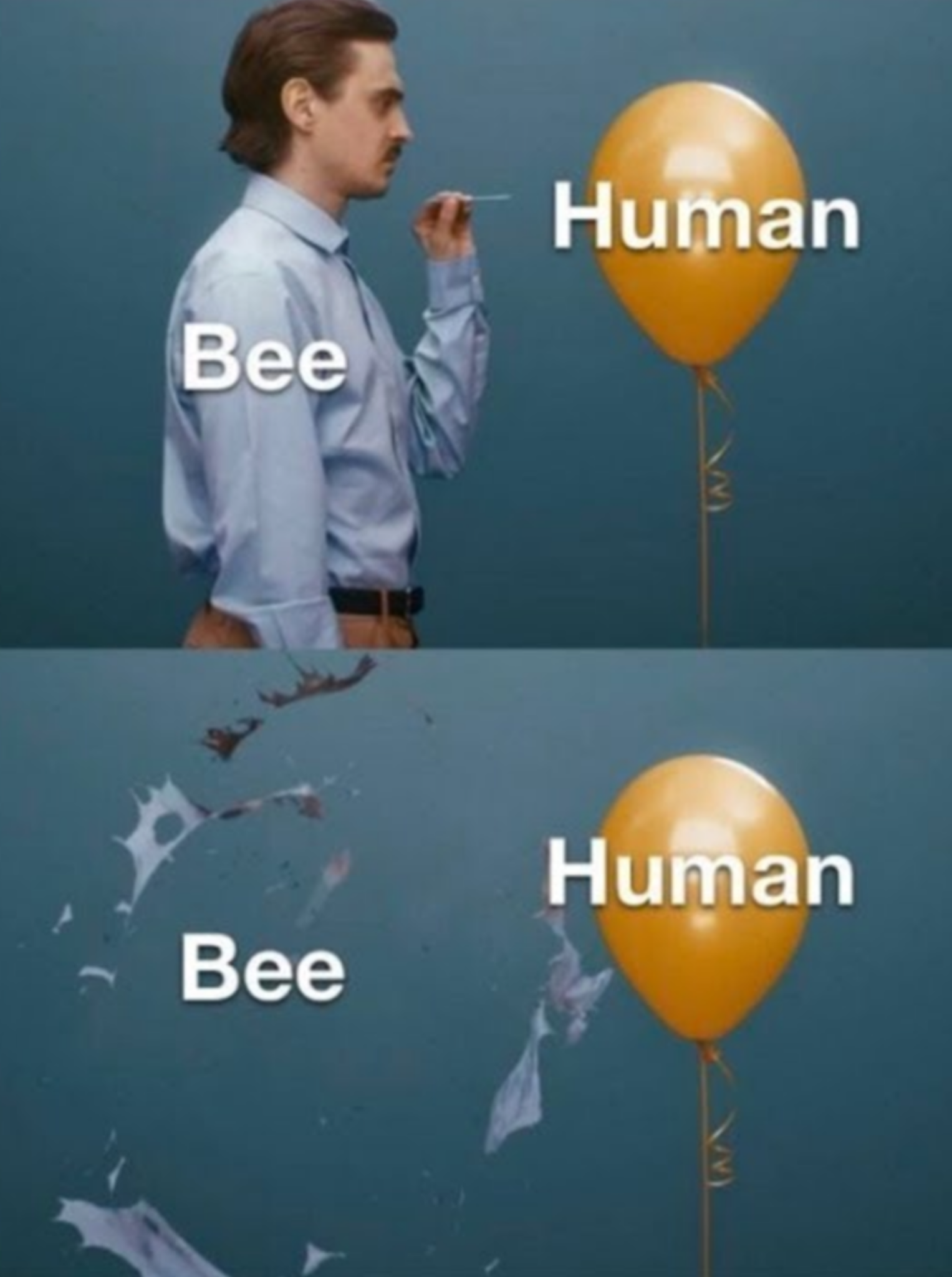 Bees, basically.