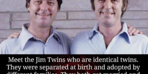 Twins displaying spooky actions at a distance.