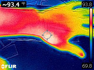 Thermal image of a cat bite before the antibiotics kicked in.