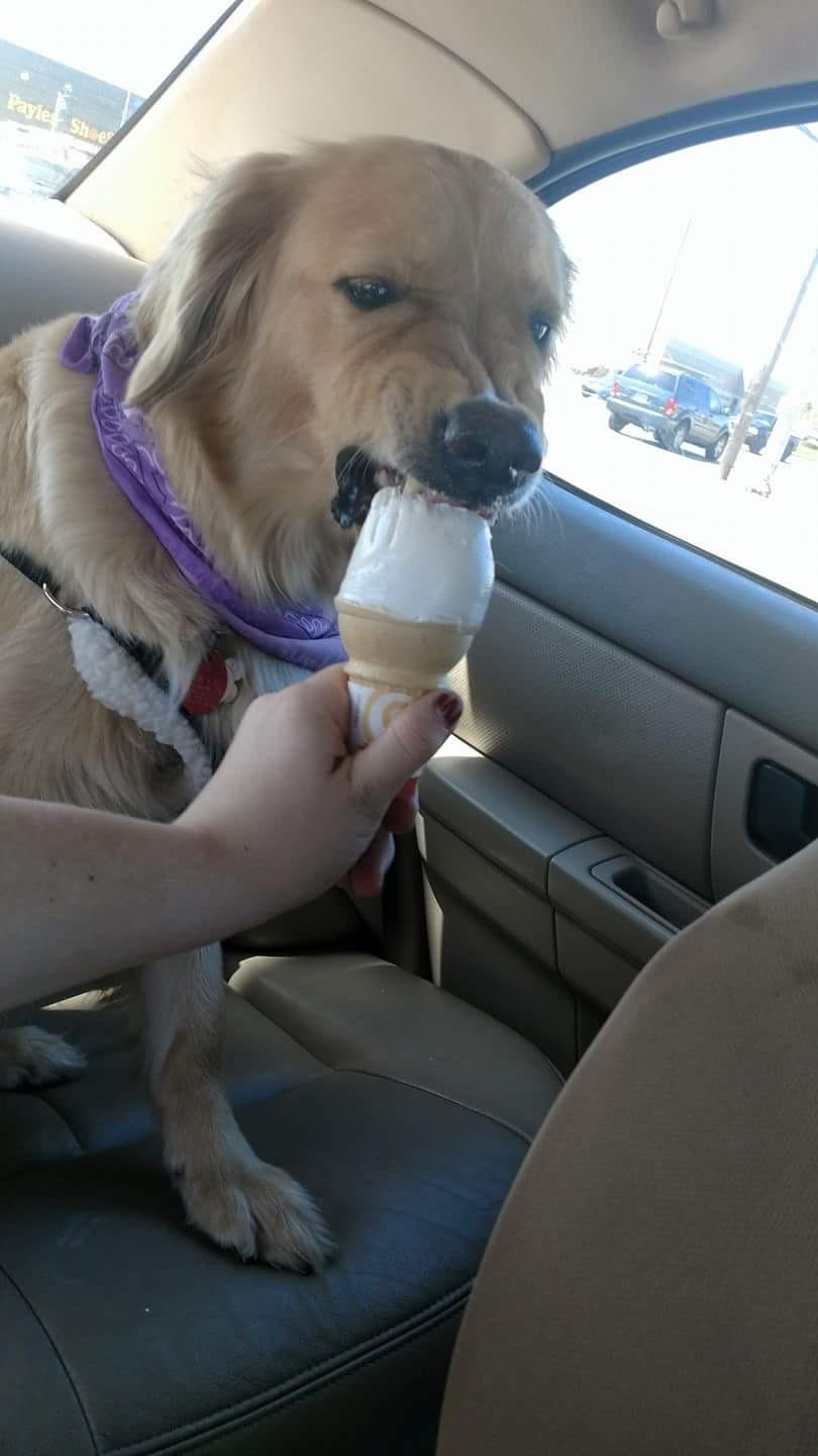 Angry icecream chomps