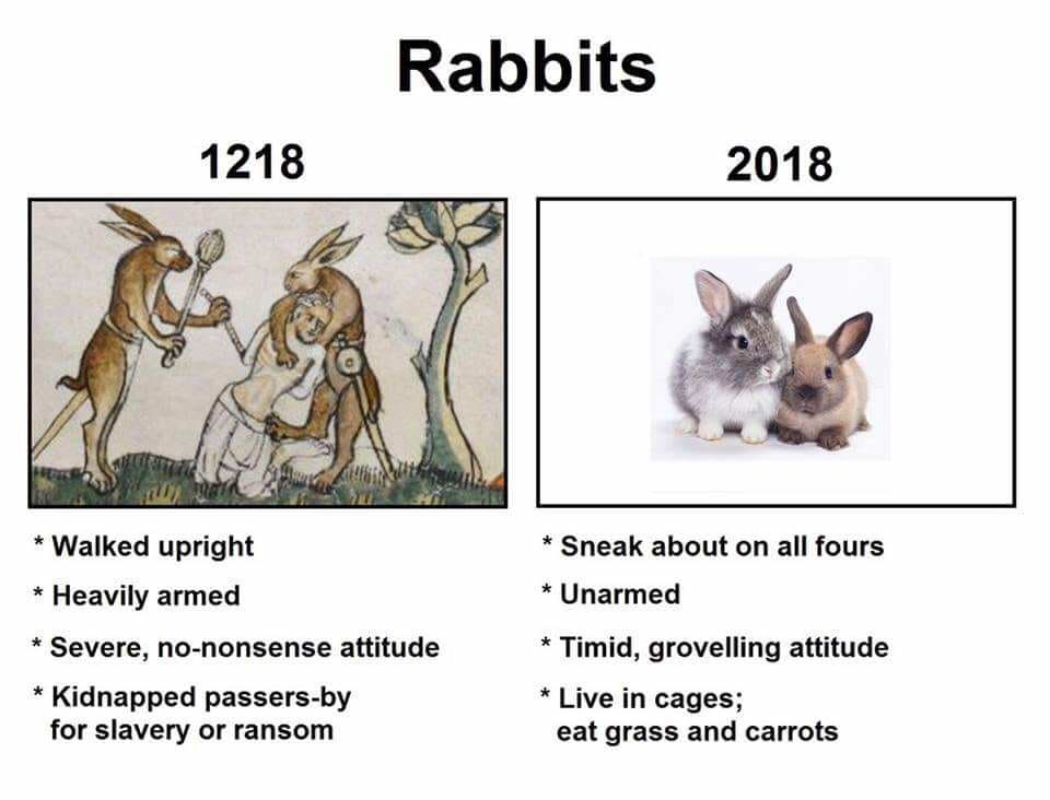 Beware the wabbits.