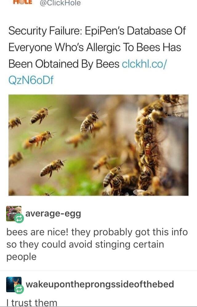 I trust the bees with my data.