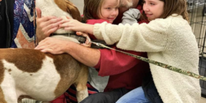 A family finds their missing dog while going to adopt a cat.