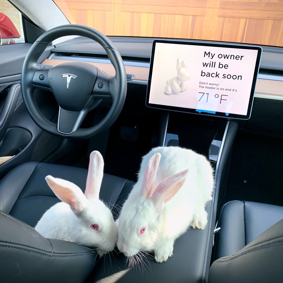 Tesla ðŸ° Mode