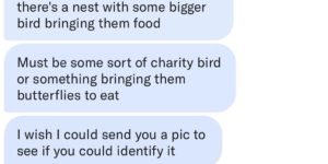 Charity birds are very nice.