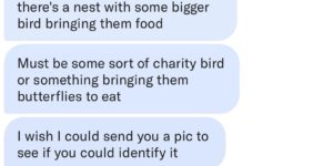 Charity+birds+are+very+nice.