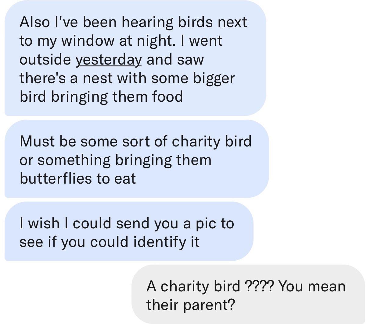 Charity birds are very nice.