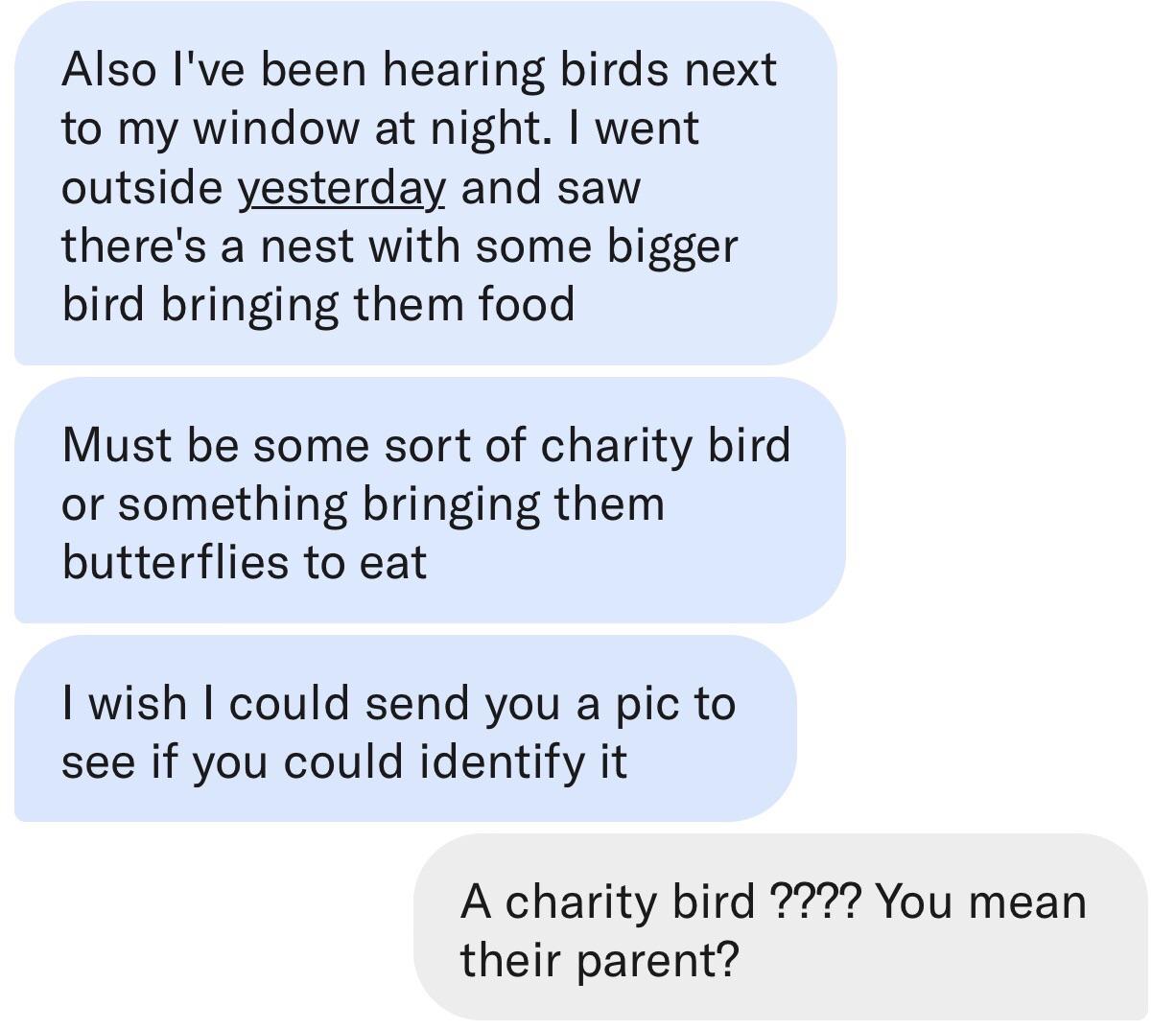 Charity birds are very nice.