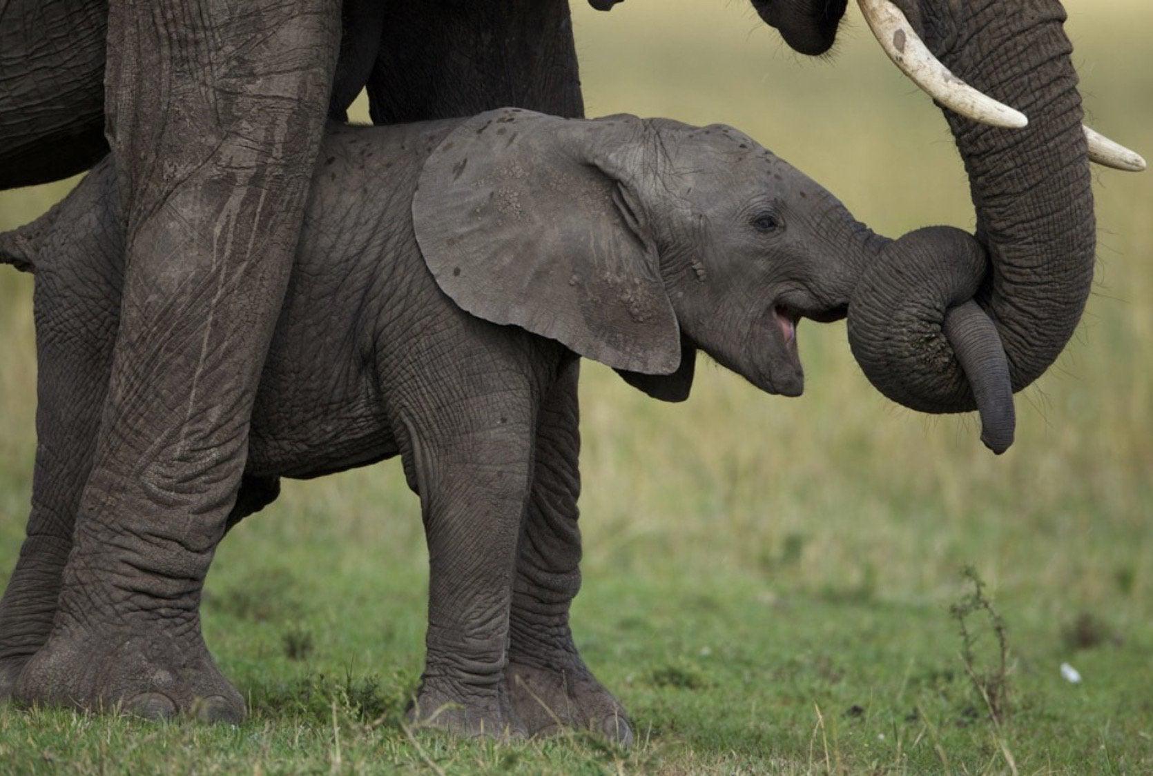 Mom's got your nose.