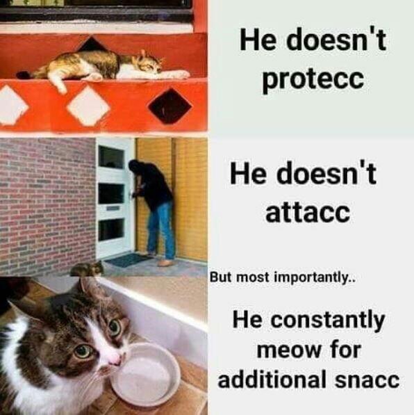 pls snacc