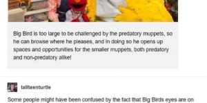 Big Bird – A Biological Assessment